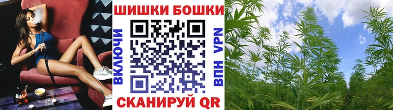 как найти наркотики  Вязьма  МАРИХУАНА семена 